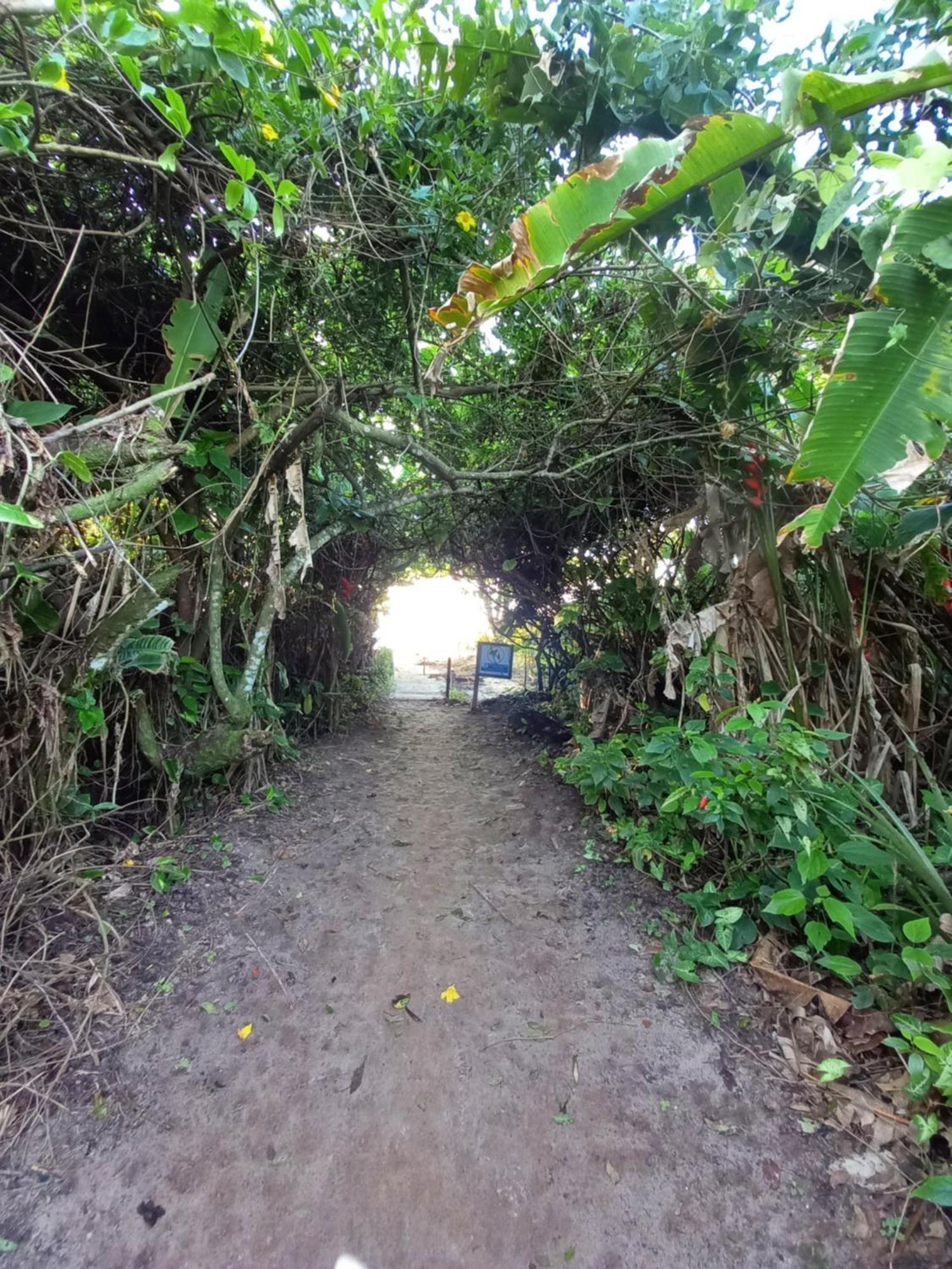 Suite No Condominio Itamambuca - Muito Perto Da Praia !!! Ubatuba Buitenkant foto