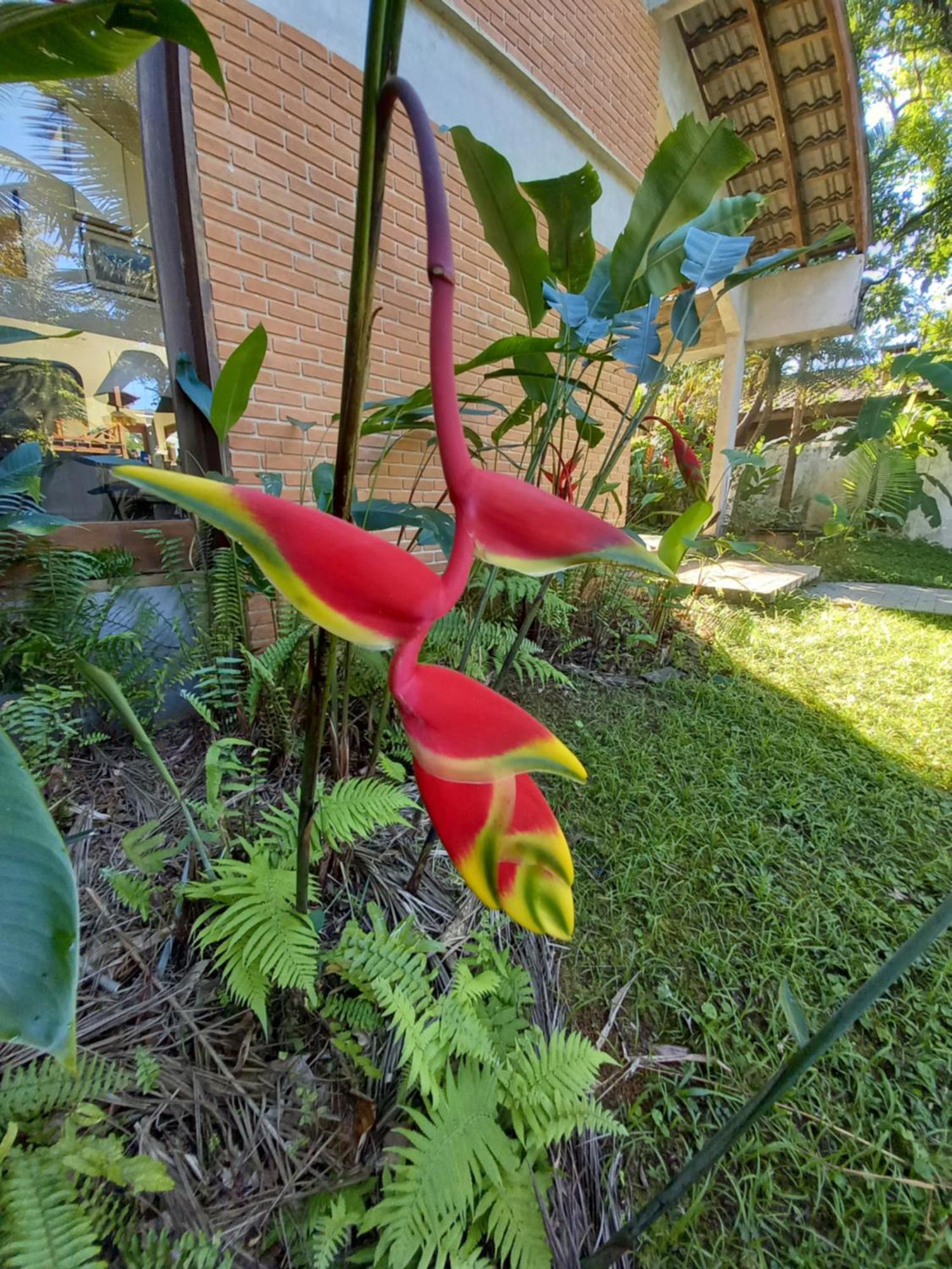 Suite No Condominio Itamambuca - Muito Perto Da Praia !!! Ubatuba Buitenkant foto