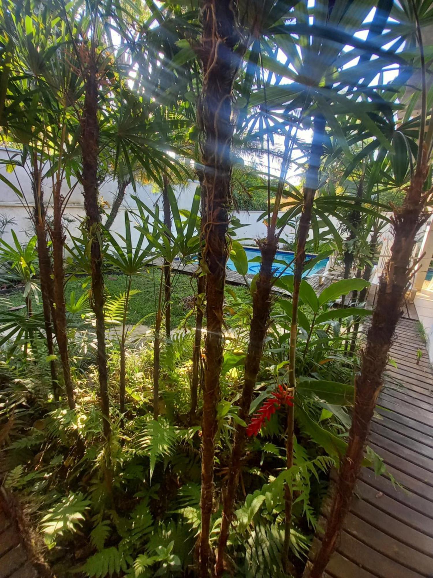 Suite No Condominio Itamambuca - Muito Perto Da Praia !!! Ubatuba Kamer foto