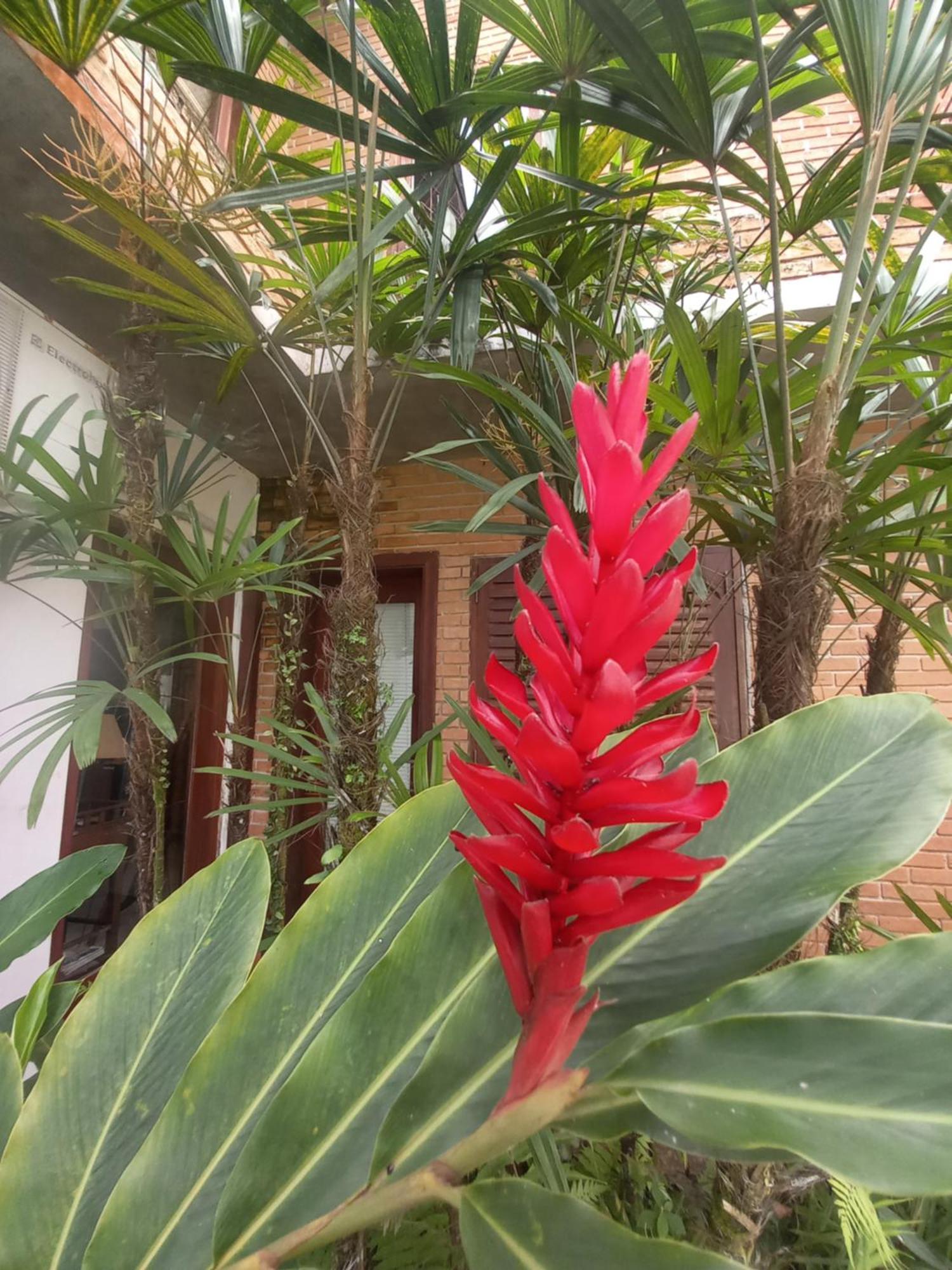 Suite No Condominio Itamambuca - Muito Perto Da Praia !!! Ubatuba Buitenkant foto